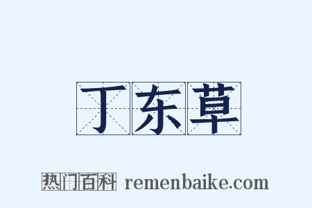 丁东草是什么意思的图片
